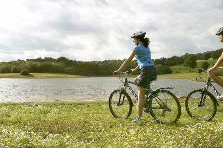 Территория