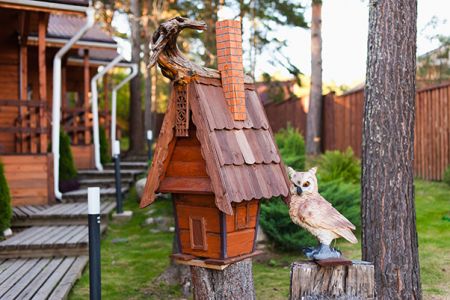 Внешний вид