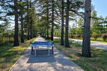 Настольный теннис