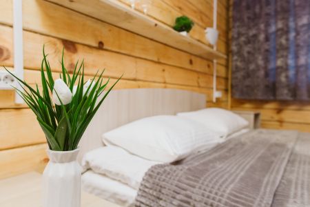 Апартаменты Дом Катунь