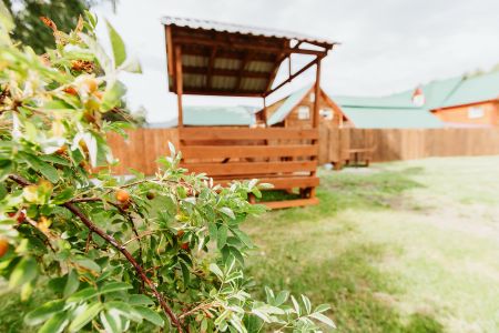 Алтай Берег