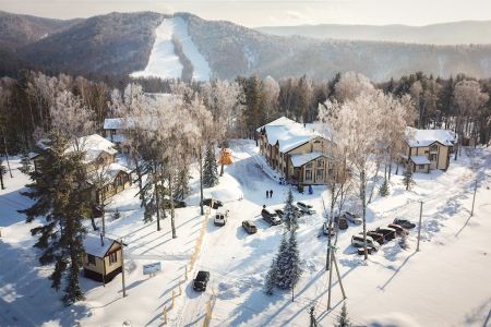 Внешний вид