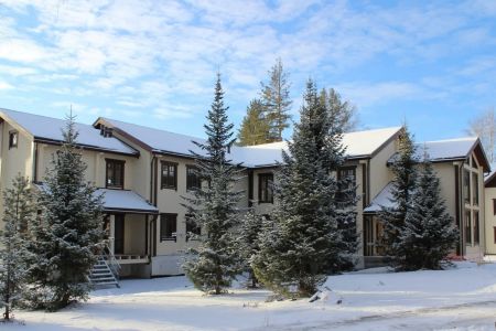 Внешний вид