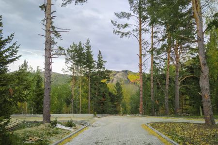 Внешний вид