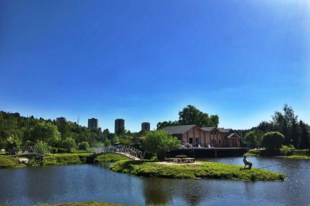 Внешний вид