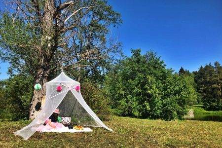 Внешний вид