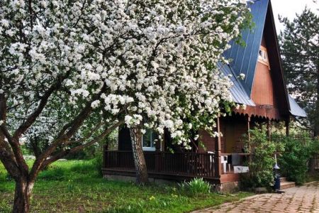 Внешний вид