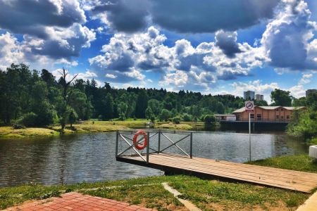 Внешний вид