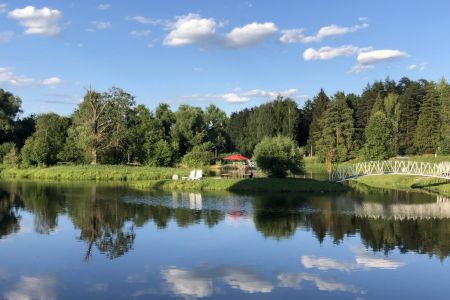 Внешний вид