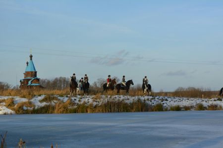 Внешний вид