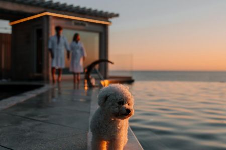 Панорамная сауна