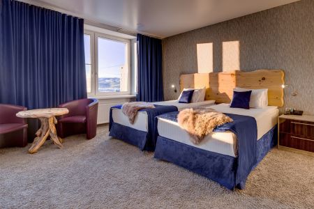 Джуниор Сюит Арктический 2-местный (TWIN)