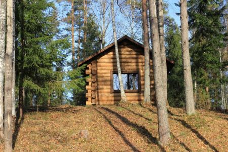 Территория