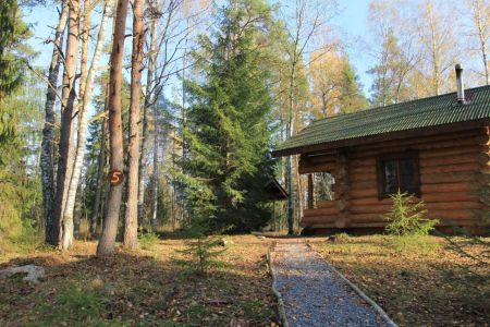 Территория