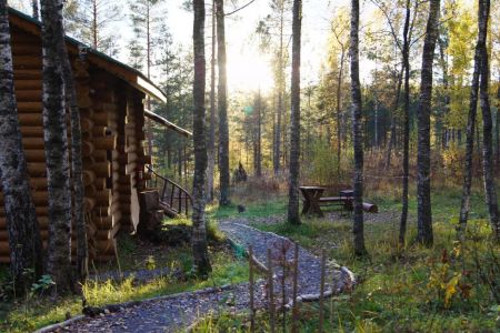 Территория