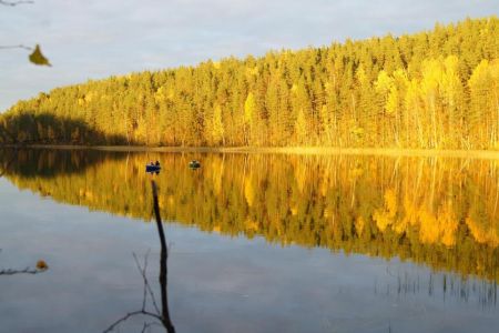 Территория