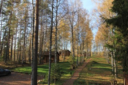 Территория