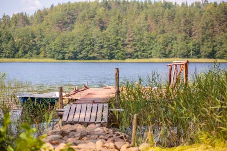 Территория