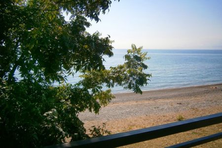 Вид на территорию