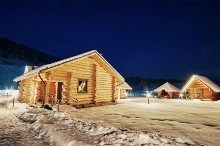 Кедровый берег