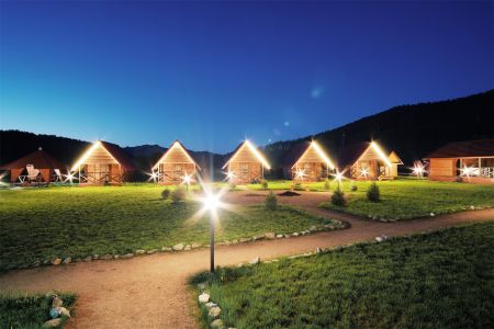 Кедровый берег