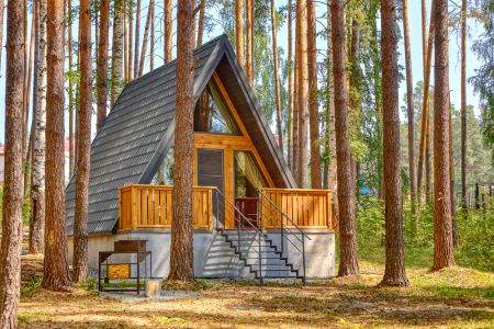 Внешний вид