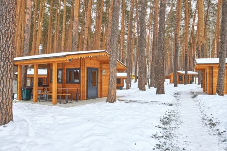 Внешний вид