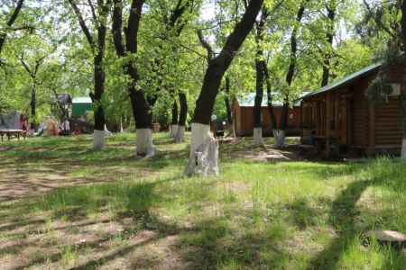 Номер 2-местный с срубе