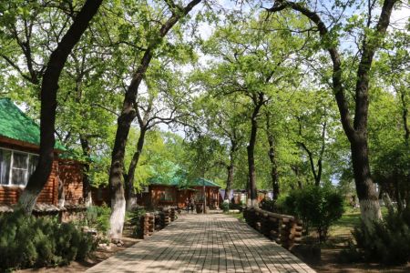 Номер 2-местный с срубе