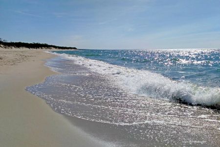 637454010611125028-c580f49d-3a20-4ece-b5d3-da41a61f6843