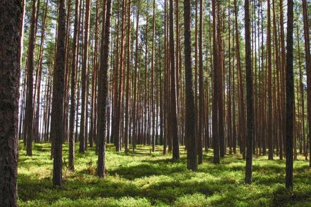 Комфорт 2-местный