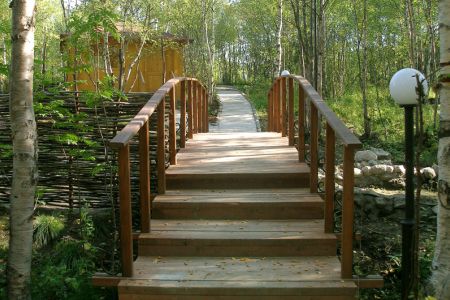 Внешний вид