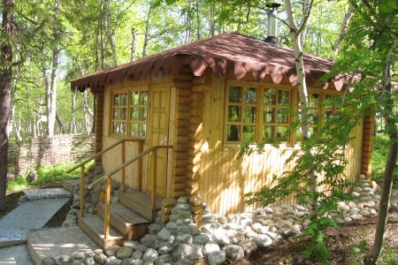 Внешний вид