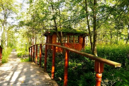 Внешний вид