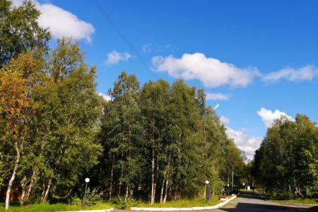 Внешний вид