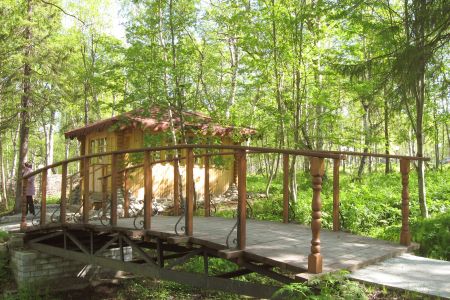 Внешний вид