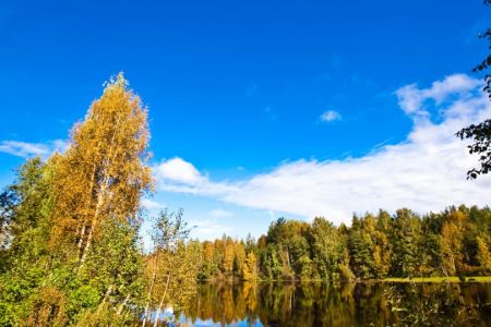 Коттедж 6-местный 3-комнатный «Изба Солнечная»