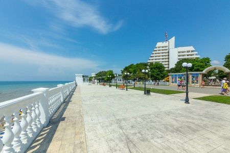 Внешний вид