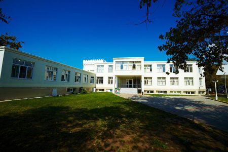 Внешний вид