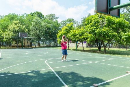 Внешний вид