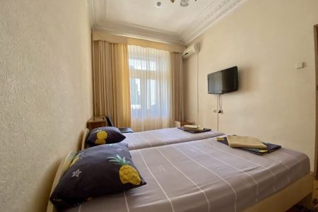 Стандартный 2-местный 1-комнатный DBL/TWIN юг (с балконом вид на парк)