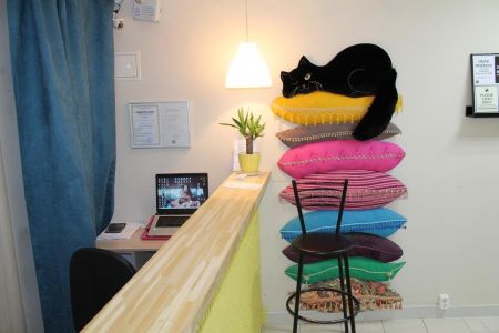 Внешний вид