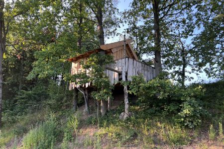 Домик 2-местный на дереве