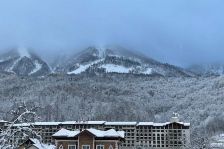 Внешний вид