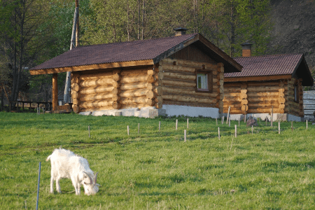 Территория