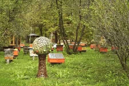 Дом Кедровый 1