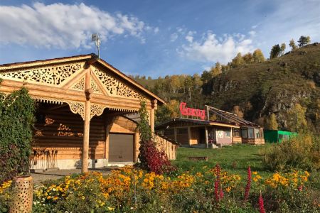 Внешний вид