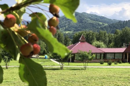 Внешний вид