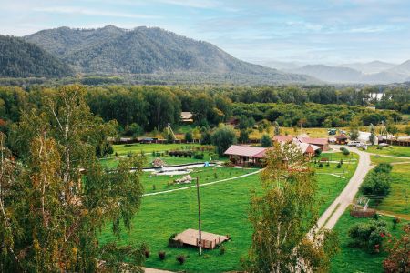 Внешний вид