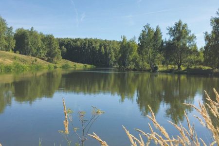 Внешний вид